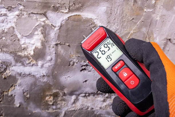 Best Local Mold Removal Service  in Paradise Hills, NM