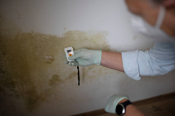 Best Mold Testing  in Paradise Hills, NM